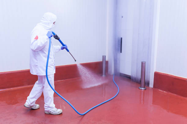 Best Graffiti Removal  in Palisade, CO