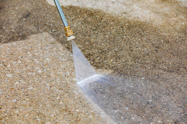 Best Warehouse Cleaning  in Palisade, CO