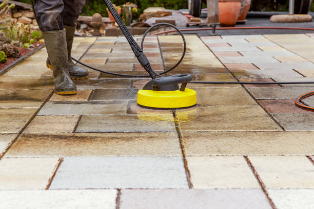 Best Oil Spill Cleanup  in Palisade, CO
