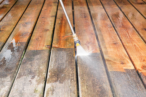 Best Sidewalk and Walkway Cleaning  in Palisade, CO